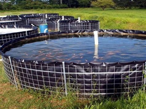 Biofloc Fish Farming Training Centres And Courses Complete Details Inside