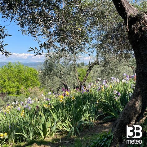 Foto Meteo Giardino Delliris Piazzale Michelangelo Fi B Meteo