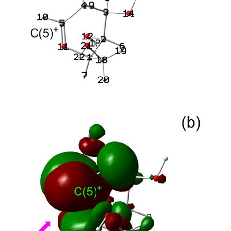 Schematic Of The Core Shell Structure Of The Dextran Modified Fe O