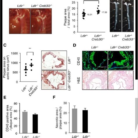 Synergistic activation of Apoa1 promoter by CREBH and HNF 4α A HNF 4α