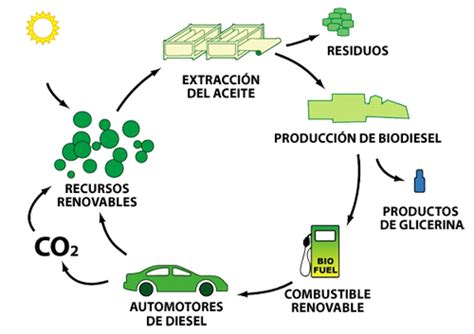 Elaboración del biodiesel MORECO