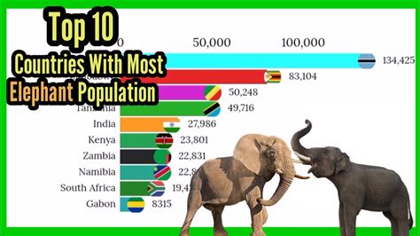 Elephant Top 10 Countries With Most Elephant Population 1980 2021 Mobile Craft Youtube