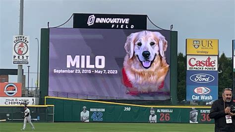 Red Wings Surpass Fundraising Goal For Veterans Through Milo Making A