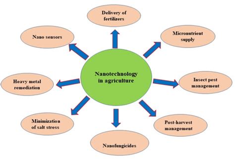 Nanotechnology Based Sustainable Agriculture Scope And Applications Science Academique