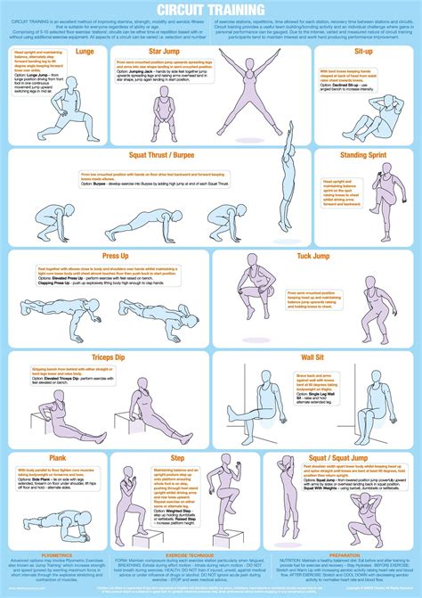 Strength Circuit Workouts At Jacqueline Mendoza Blog