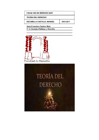 TEORIA DEL DERECHO APUNTES Pdf