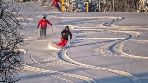 Chicopee to add more ski runs in coming years, says CEO | CBC News