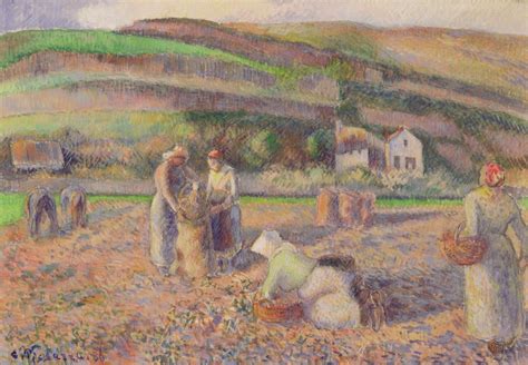 La Raccolta Delle Patate Camille Jacob Pissarro