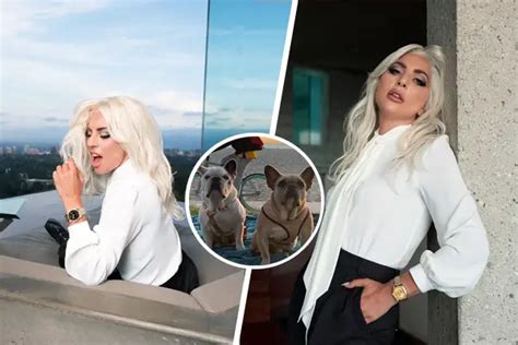 Lady Gaga Hombre Que Robó Sus Mascotas Es Sentenciado A 21 Años De Prisión