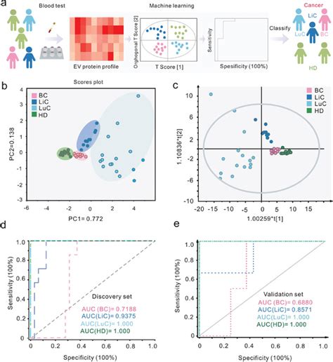 Cancer Classification Enabled By Machine Learning A The Workflow Of