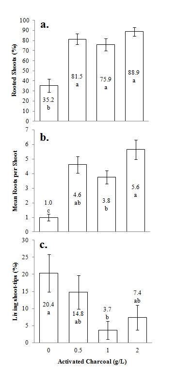 Effect Of Activated Charcoal Concentration In Post Rooting Medium On Download Scientific