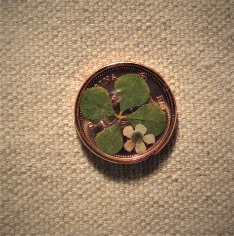 4 Leaf Clover Dried Flower Lucky Penny Magnetic Canadian Etsy