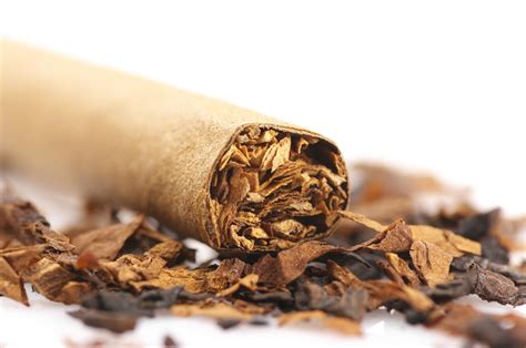 Tobacco – Anil Beedi Works