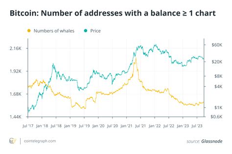 Qu Son Las Ballenas De Bitcoin Y C Mo Identificarlas Noticias