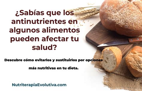 Sabías que los antinutrientes en algunos alimentos pueden afectar tu