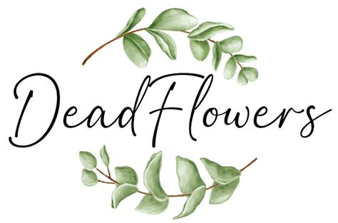 Praca Przedstawiciel Handlowy Oferta Pracy W Dead Flowers Jacek