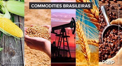 Conheça as 5 principais Commodities Brasileiras CAEP