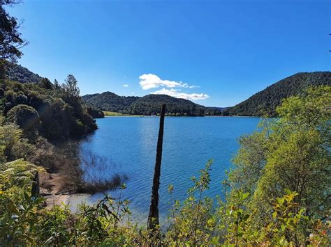 The Blue Lake Walk In Rotorua Chur New Zealand