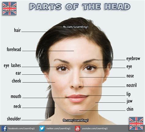 Cejas Pesta As En Ingles Hombres Orejones