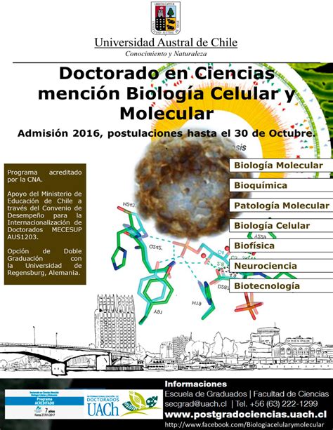 Doctorado En Ciencias Mención Biología Celular Y Molecular Sociedad De Bioquímica Y Biología