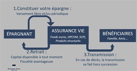 Le Contrat D Assurance Vie Explications Hot Sex Picture