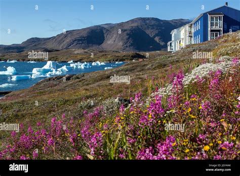 Cruise In Greenlanddenmark Stock Photo Alamy