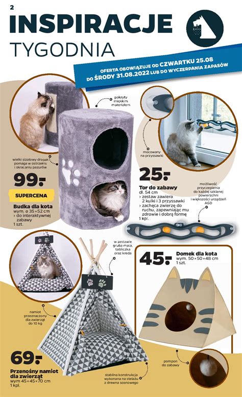 Netto 25 08 2022 Gazetka tor do zabawy dla zwierząt budka dla kota