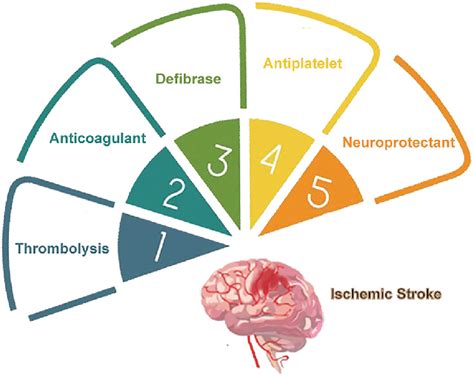 Therapeutic Approaches For Ischemic Stroke Download Scientific Diagram