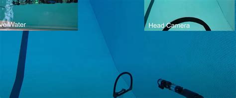 Swimming Snake Robot Is Not Scary Just Wants To Make Sure Navy Ships