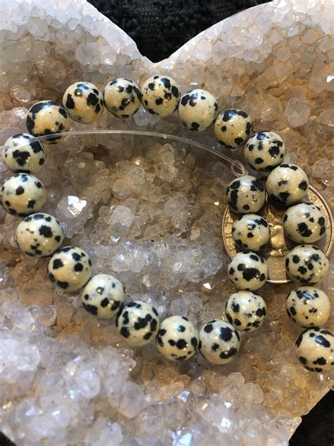 Dalmatian Jasper 8mm Dalmatian Jasper Bead Strand Beaded Bracelets