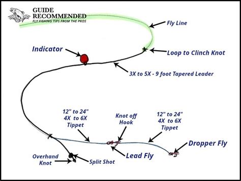 A Complete Guide To Stillwater Nymphing Guide Recommended