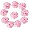 Amazon Pcs Tissue Hanging Paper Pom Poms Flower Ball Wedding