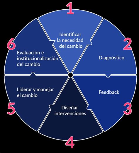 El Desarrollo Organizacional Y C Mo Aplicarlo