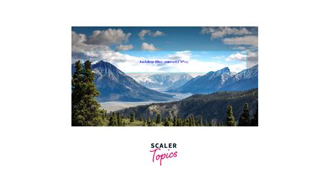 How To Make A Background Blur In Css Scaler Topics