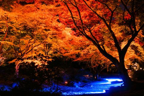 関東紅葉絶景紅葉がきれいなキャンプ場おすすめ7選 キャンプアウトドア情報メディアhinata