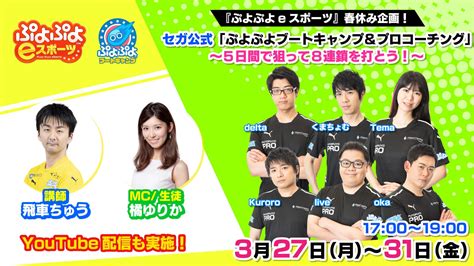 「ぷよぷよeスポーツ」プロ選手によるオンラインイベント開催！5日間で8連鎖目指す「ブートキャンプ」やプロ選手との対戦＆コーチングも。nintendo Switch版で参加可能