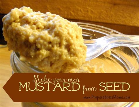 Homemade Mustard From Seeds Or Powder Preparednessmama