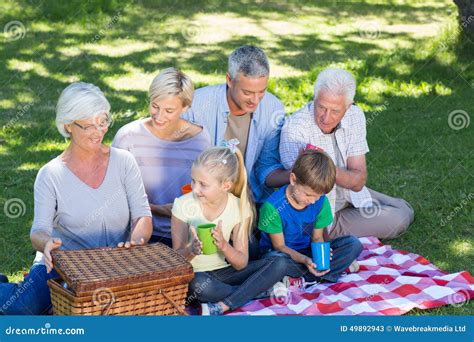 Familia Feliz Que Tiene Comida Campestre En El Parque Imagen De Archivo