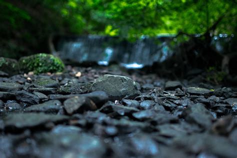 Banco De Imagens árvore Agua Natureza Floresta Rocha Luz Solar