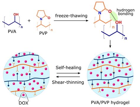 Gels Free Full Text Development Of A Polysaccharide Based Hydrogel