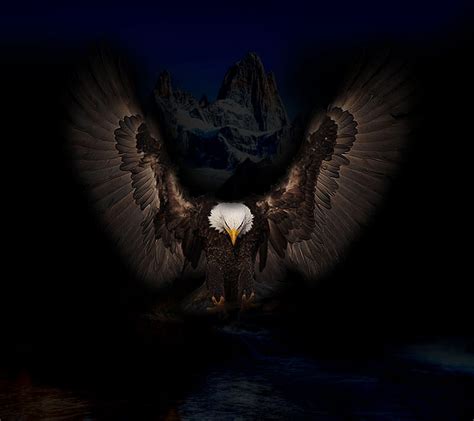 Dark Eagle Wallpaper