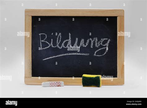 Education Sponge Blackboard Chalk Educations Sponges Blackboards