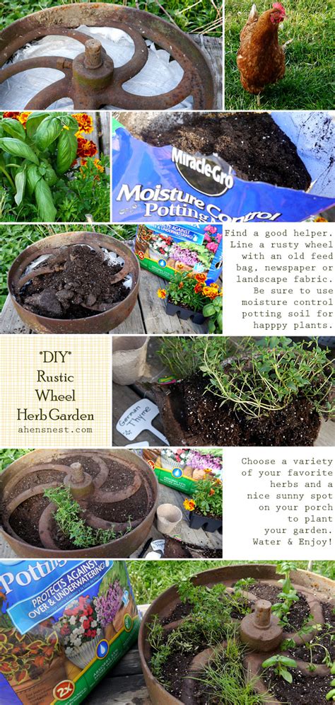 Diy Rustic Wheel Herb Garden How To Miraclegroproject A Hens Nest