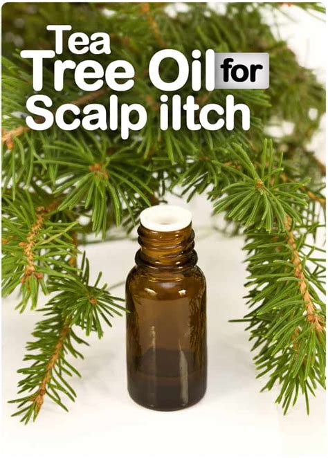 How to Get Rid of Itchy Scalp with Tea Tree Oil