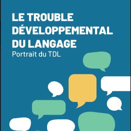 Le Trouble D Veloppemental Du Langage