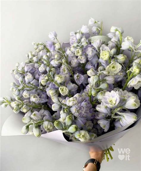 Pin by Anna Kukushkina on Цветы Flowers bouquet gift Pretty flowers