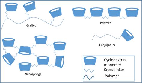 Cyclodextrin Conjugates Polymers And Nanosponges Download Scientific Diagram