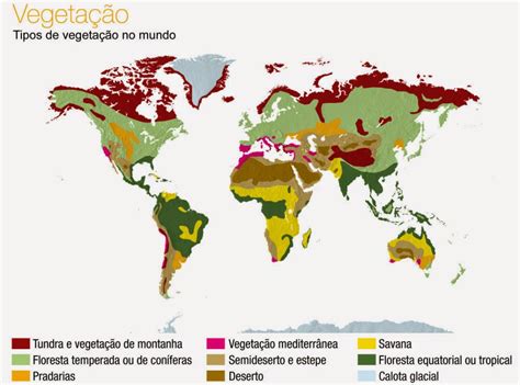 Aprender e ensinar Geografia VEGETAÇÃO EM PPT PARA AULAS DE GEOGRAFIA