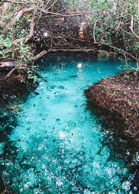 Cenote Sac Actun Our Guide To The Longest Underwater Cave System