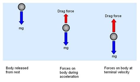 Drag Force of a Falling Object | Math & Physics Problems Wikia | Fandom